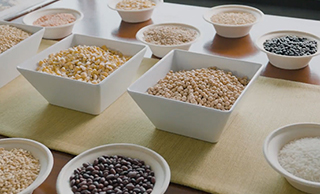 #43 | Grain Business