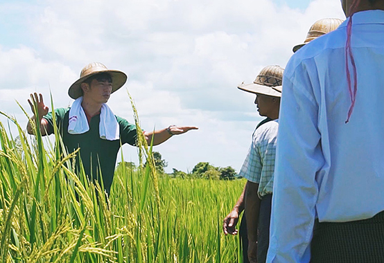 #15｜Marubeni Myanmar Fertilizer
