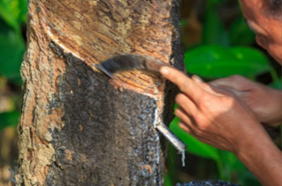 Rubber Raw Materials