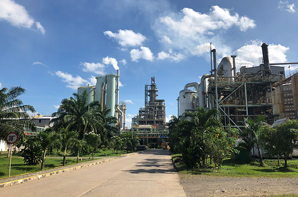 Hardwood pulp manufacturing and sales business (Indonesia)