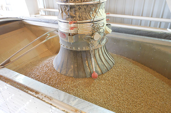 Biomass fuel sales business (Singapore)