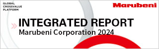 Integrated Report