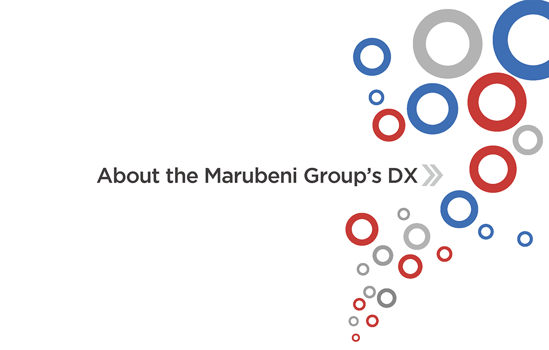 DX Strategy