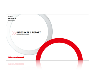 Integrated Report/Annual Report
