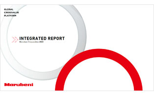 Integrated Report 2024