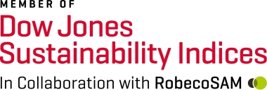 DJSI Logo