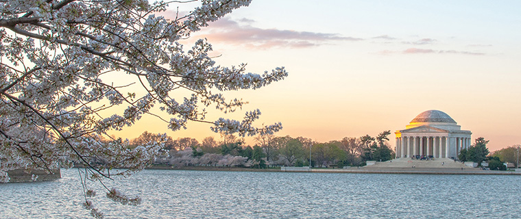 Dispatches from the Potomac